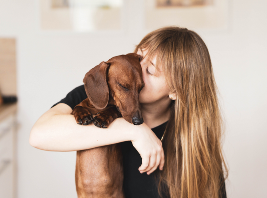 Is Your Dog Your Valentine?