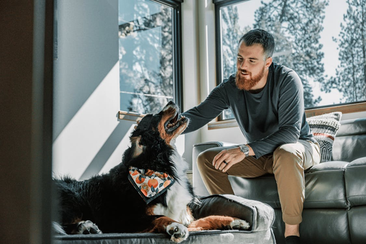 Man petting dog in living room