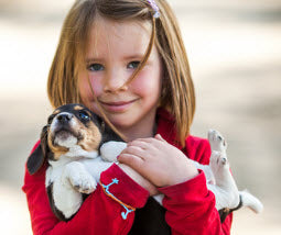 7 DAYS OF CELEBRATING NATIONAL PET WEEK