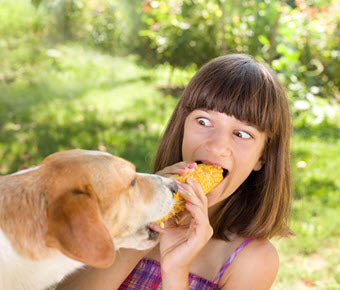 DEALING WITH FIDO THE FOOD SNATCHER