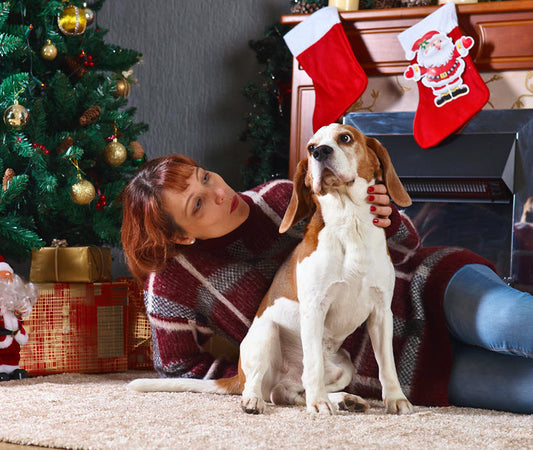 DOG THERAPY FOR THE HOLIDAYS