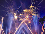 FIREWORKS - A PEAK TIME FOR LOST DOGS