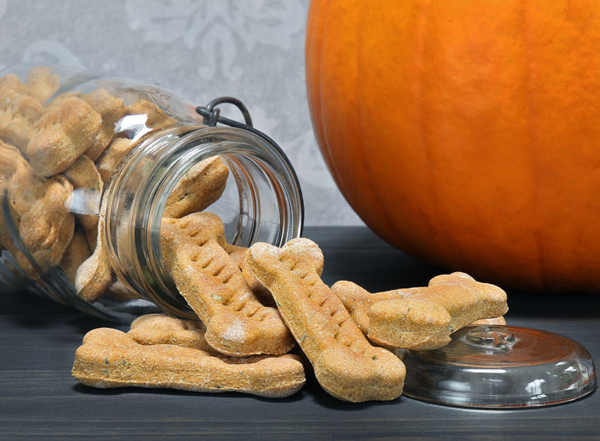 GIVE THANKS TO YOUR POOCH WITH THIS GRAIN-FREE TREAT