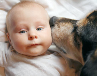 INTRODUCING FIDO TO YOUR NEWBORN