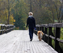 LOSE POUNDS WITH YOUR HOUNDS
