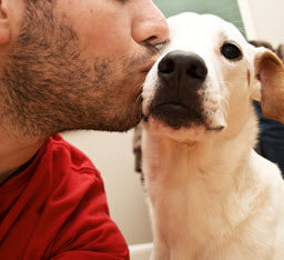 MAKE IT A DOG-SAFE VALENTINE'S DAY
