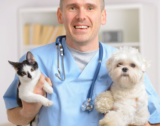 FEBRUARY - NATIONAL SPAY/NEUTER AWARENESS MONTH