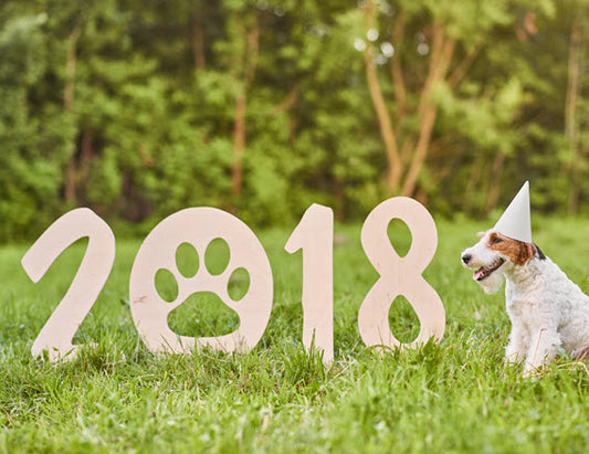 NEW YEAR, NEW GOALS, NEW DOG
