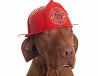 JULY 15 – NATIONAL PET FIRE SAFETY DAY