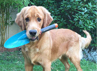PLANT A DOG-SAFE GARDEN