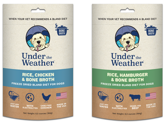 YOUR DOG WILL LOVE BONE BROTH TOO!