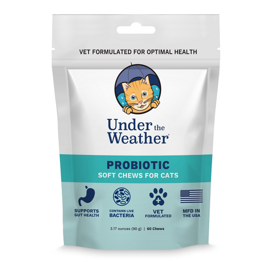 Probiotic Soft Chews for Cats