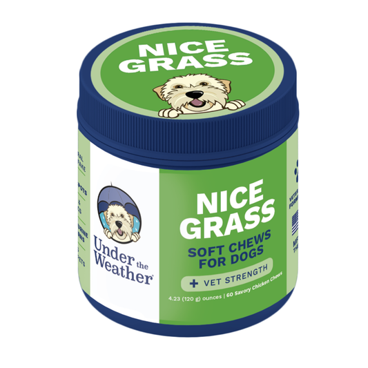 Nice Grass - Urine Neutralizer Chews For Dogs