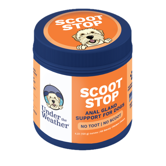 Scoot Stop - Anal Gland Support Chews for Dogs