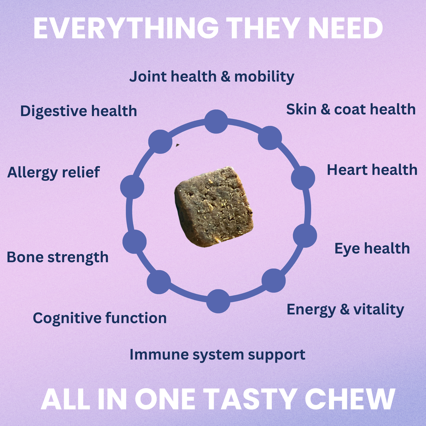 Multivitamin Daily Support for Dogs