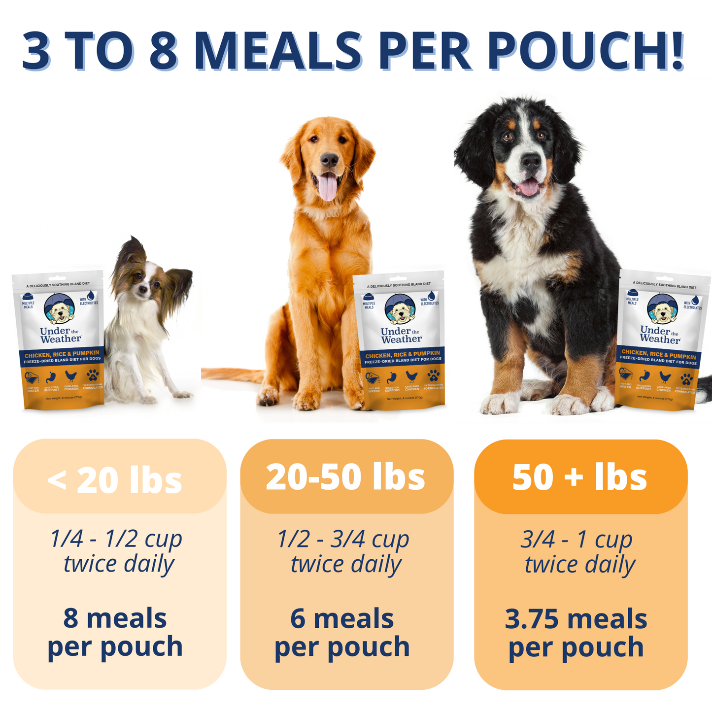 Chicken, Rice, & Pumpkin Bland Diet For Dogs - 6 Pack