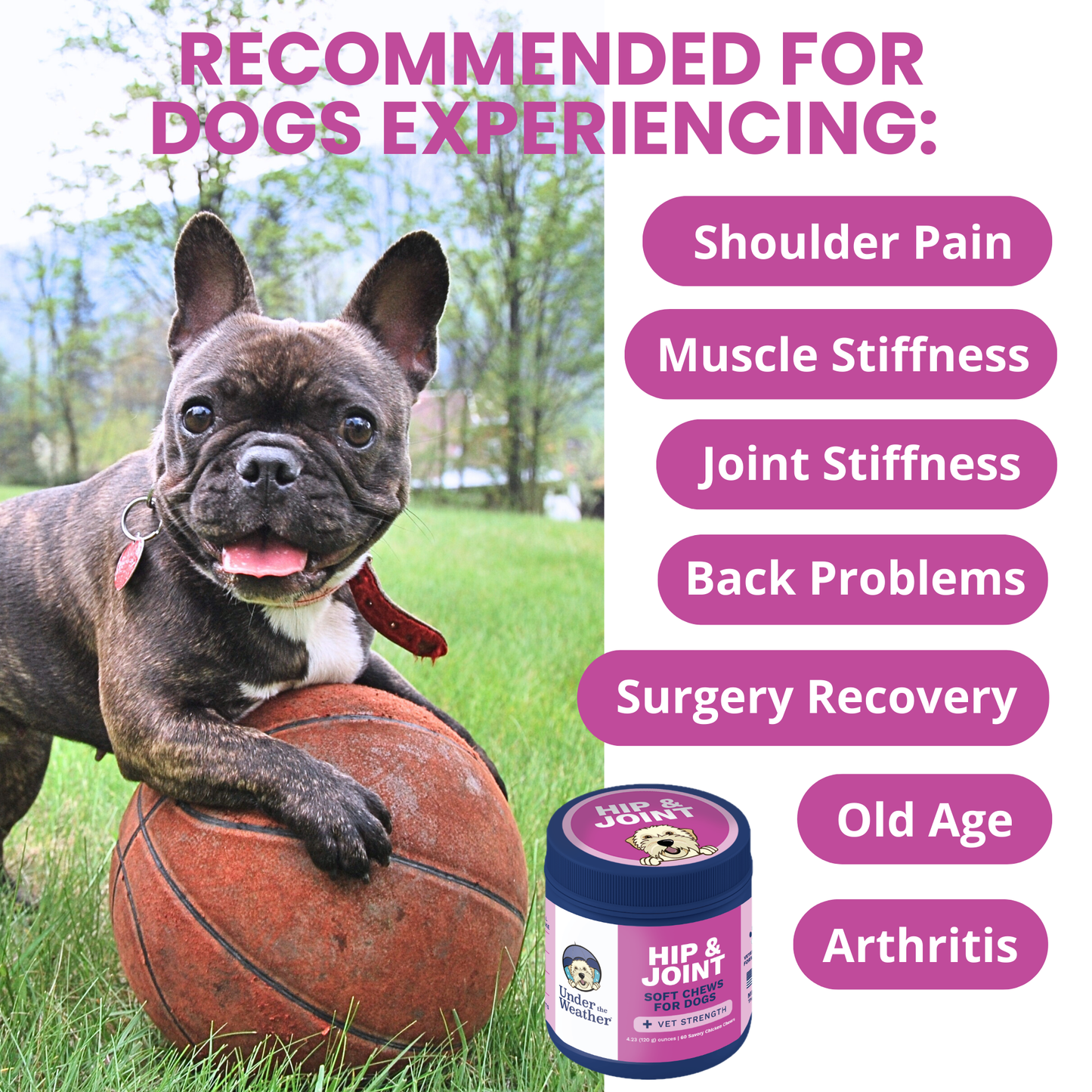 Hip and Joint Mobility Support Chews for Dogs