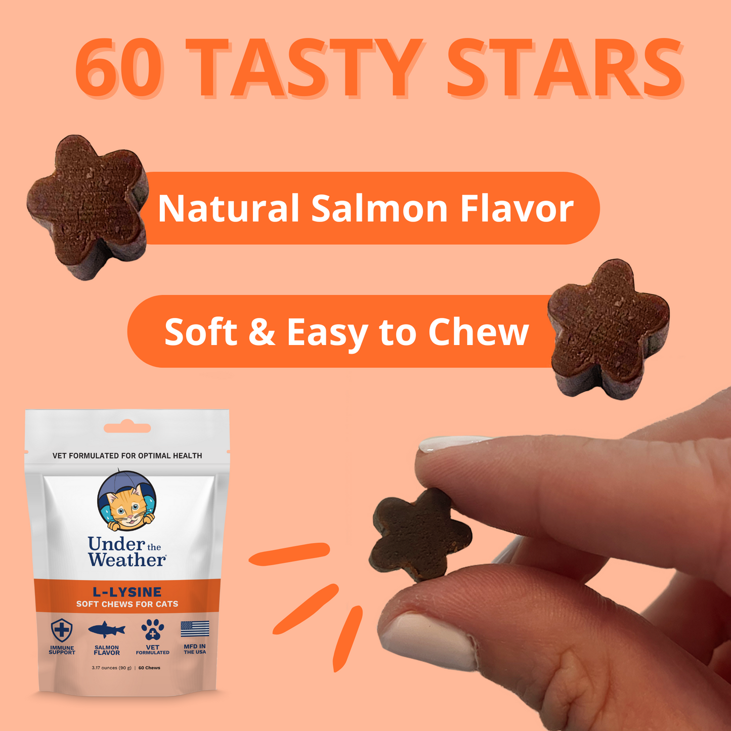 L-lysine Immune Support Chews for Cats