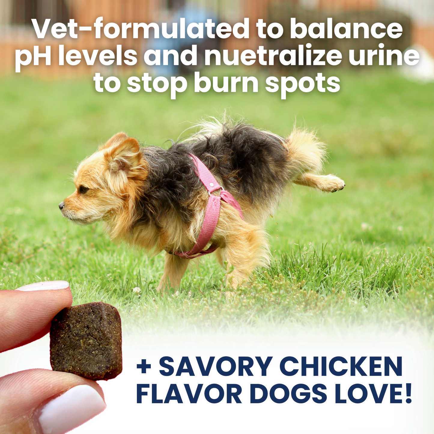 Nice Grass - Urine Neutralizer Chews For Dogs