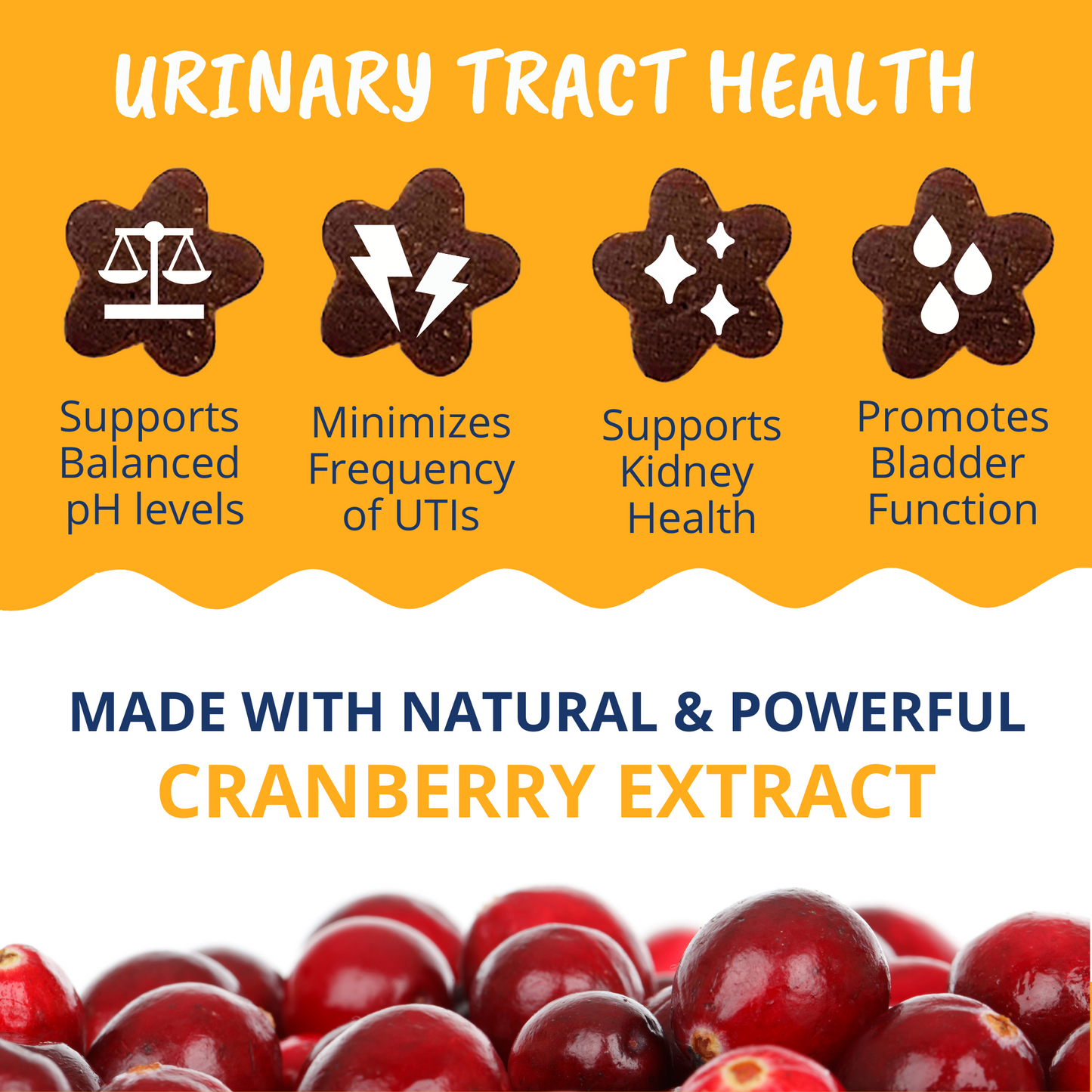 Urinary Support Soft Chews for Cats