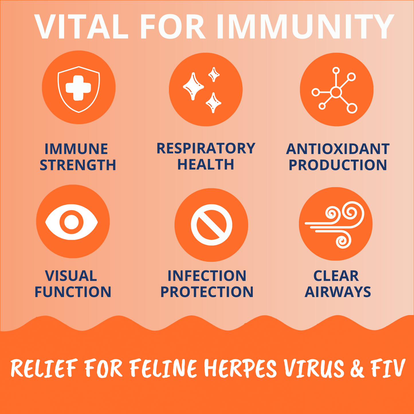 L-lysine Immune Support Chews for Cats