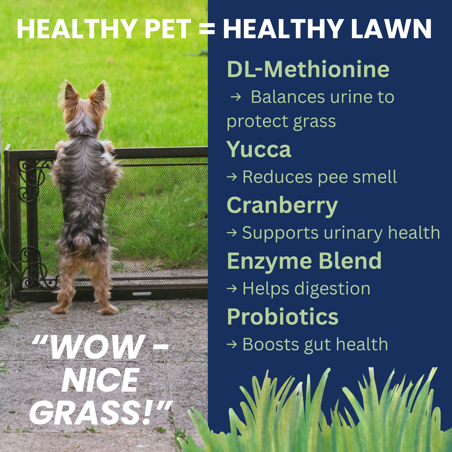 Nice Grass - Urine Neutralizer Chews For Dogs