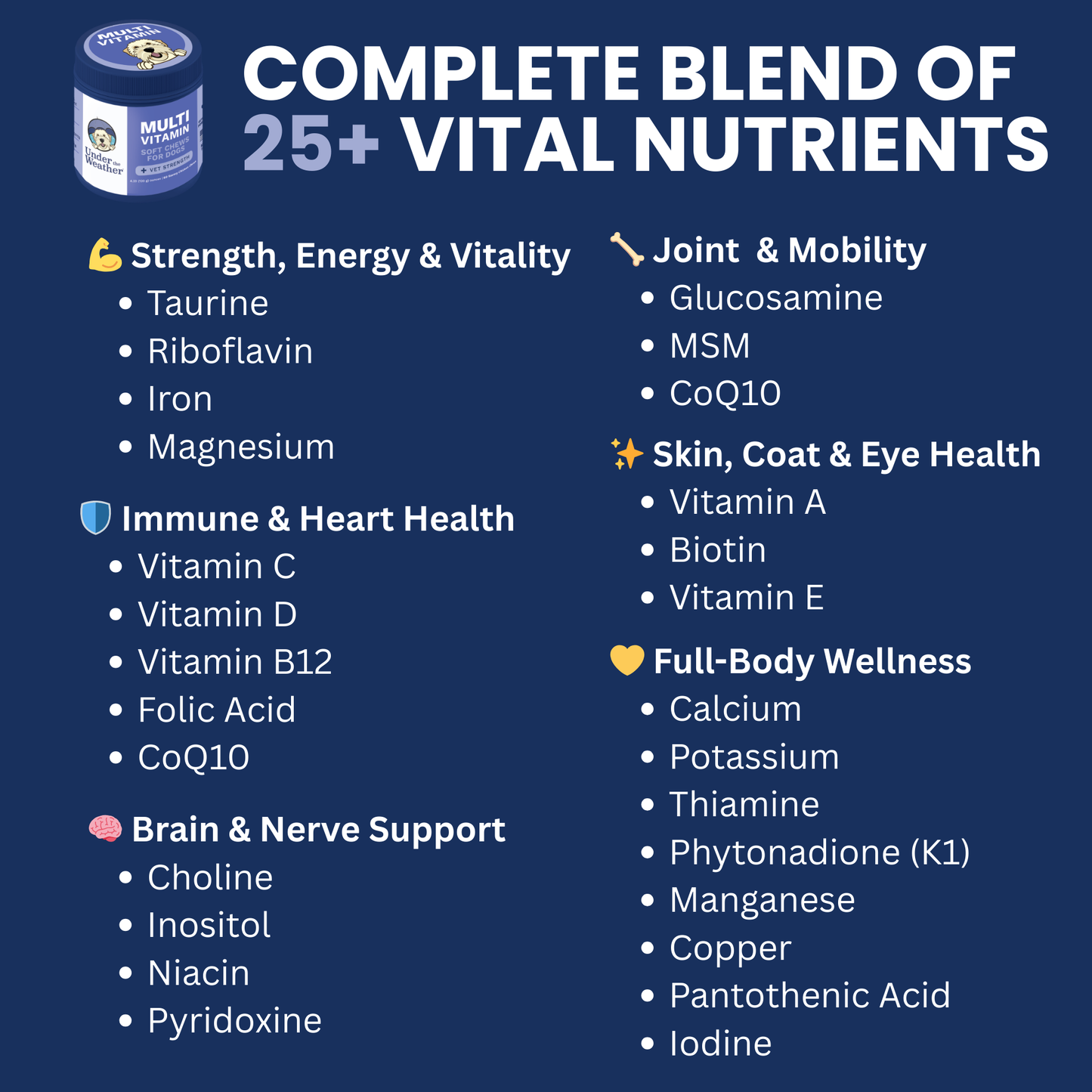 Multivitamin Daily Support for Dogs