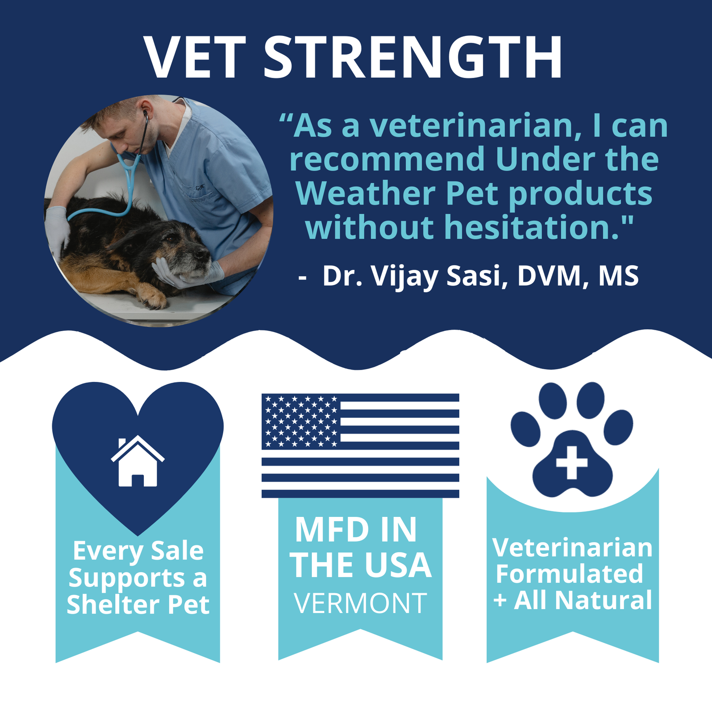 Travel Bundle For Dogs