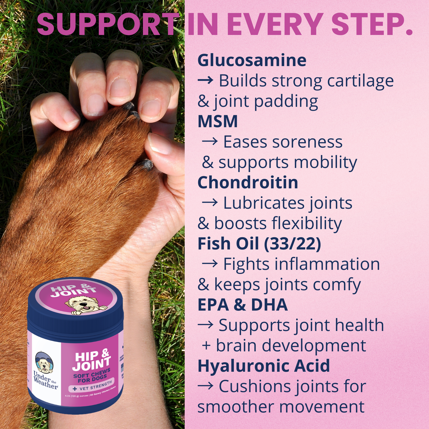 Hip and Joint Mobility Support Chews for Dogs