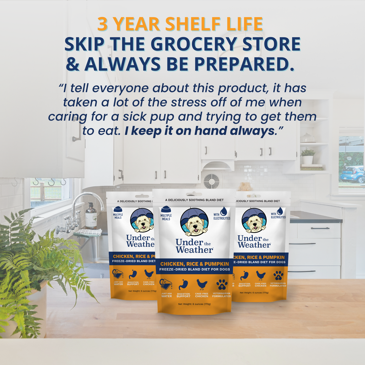 Chicken, Rice, & Pumpkin Bland Diet For Dogs - 6 Pack