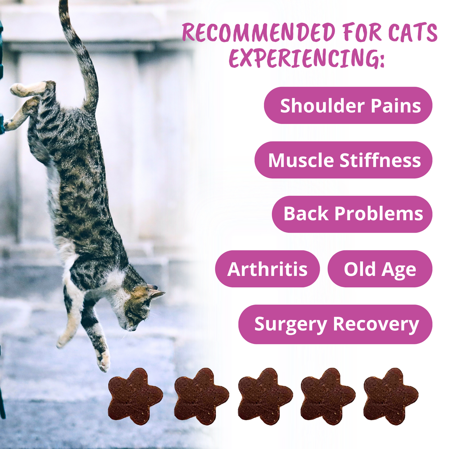 Mobility Soft Chews for Cats