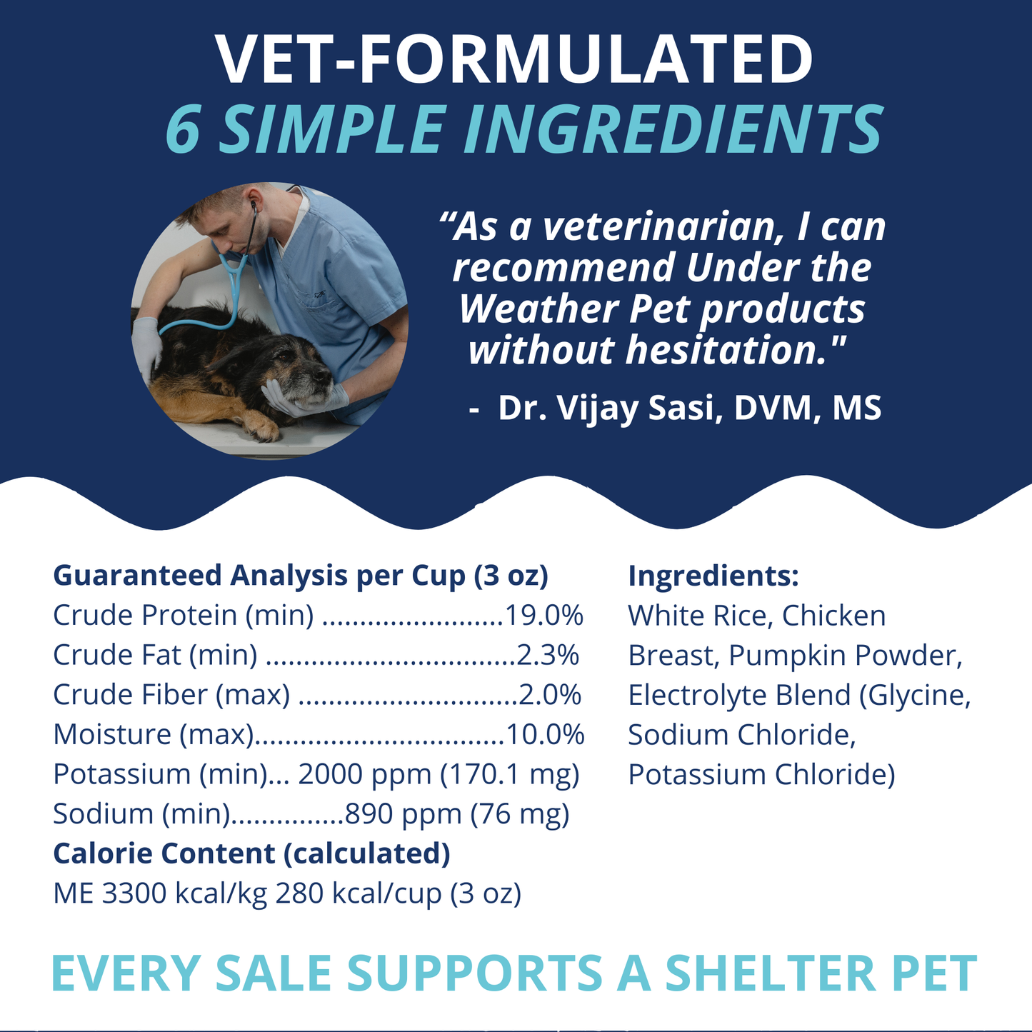 Chicken, Rice, & Pumpkin Bland Diet For Dogs - 6 Pack