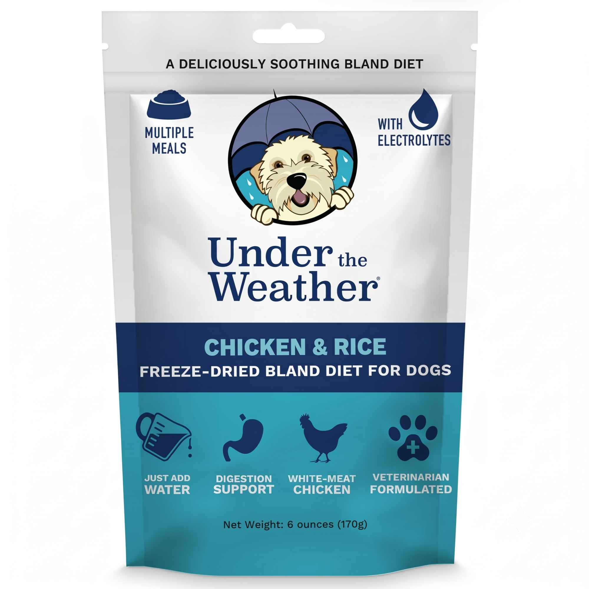 Bland Diet for Dogs