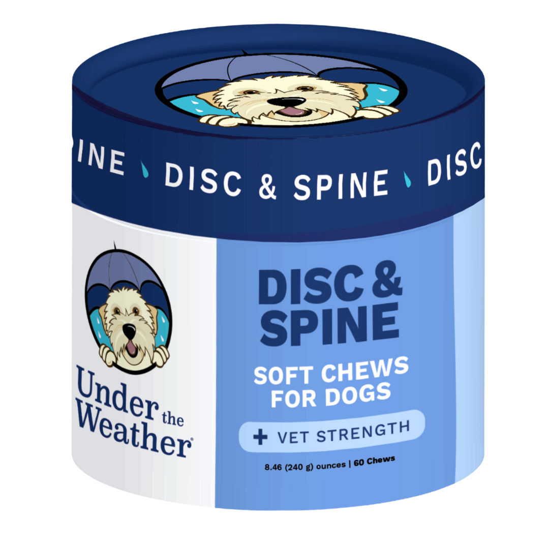A container of 'Under the Weather Disc & Spine Soft Chews for Dogs' with a chew in front.