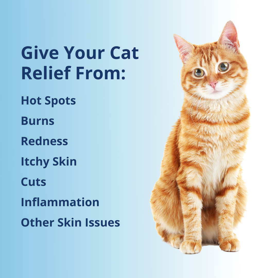 Antimicrobial Wound Spray For Cats