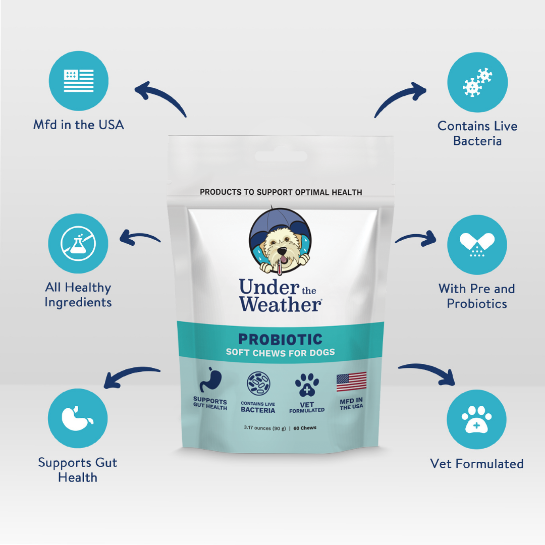 Probiotic Soft Chews For Dogs