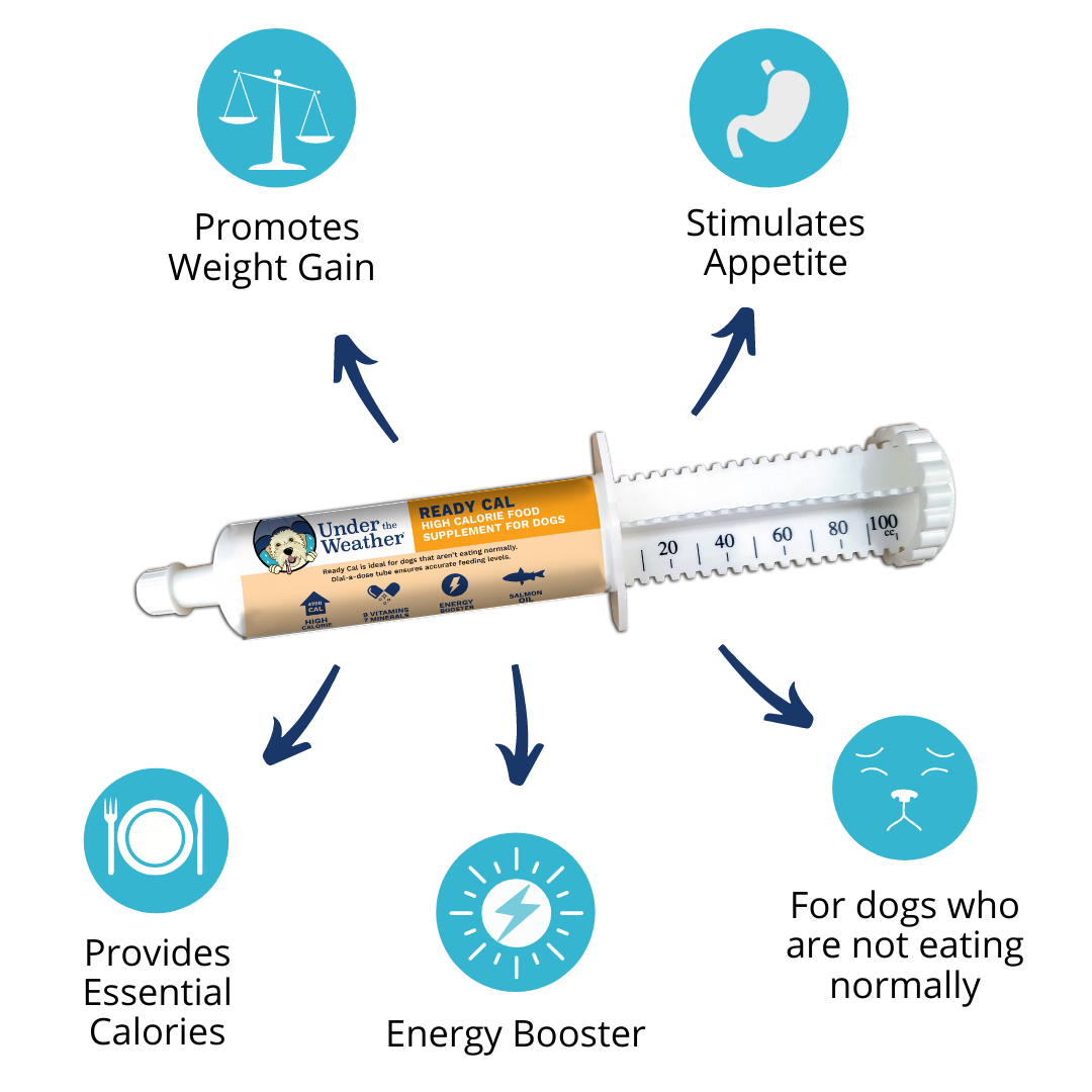 Ready Cal® High-Calorie Supplement For Dogs