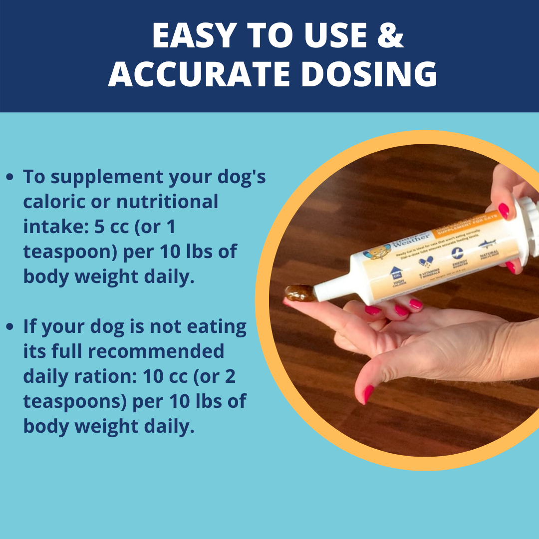 Ready Cal® High-Calorie Supplement For Dogs