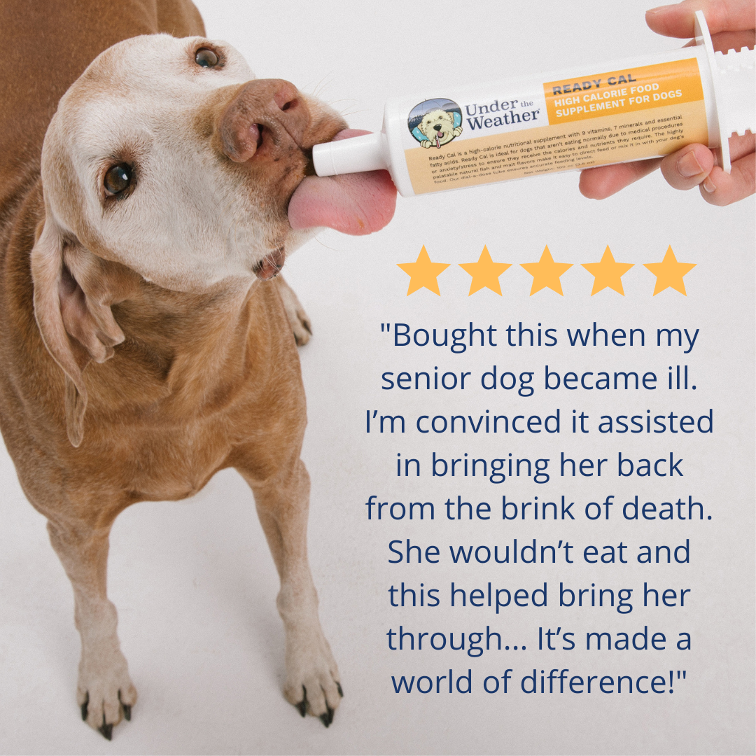 Ready Cal® High-Calorie Supplement For Dogs