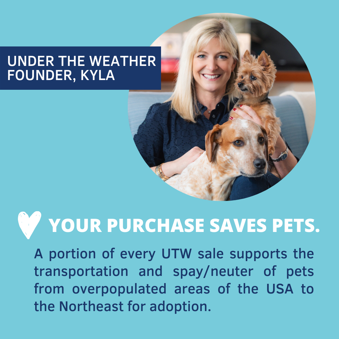 Antimicrobial Wound Spray and Calming Chews for Cats