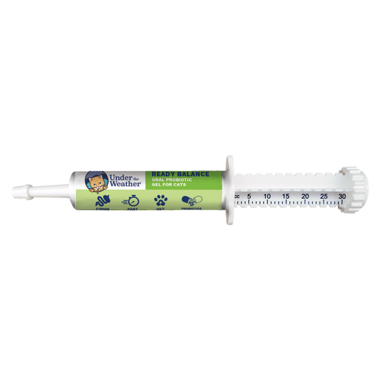 Ready Balance Probiotic Supplement For Cats