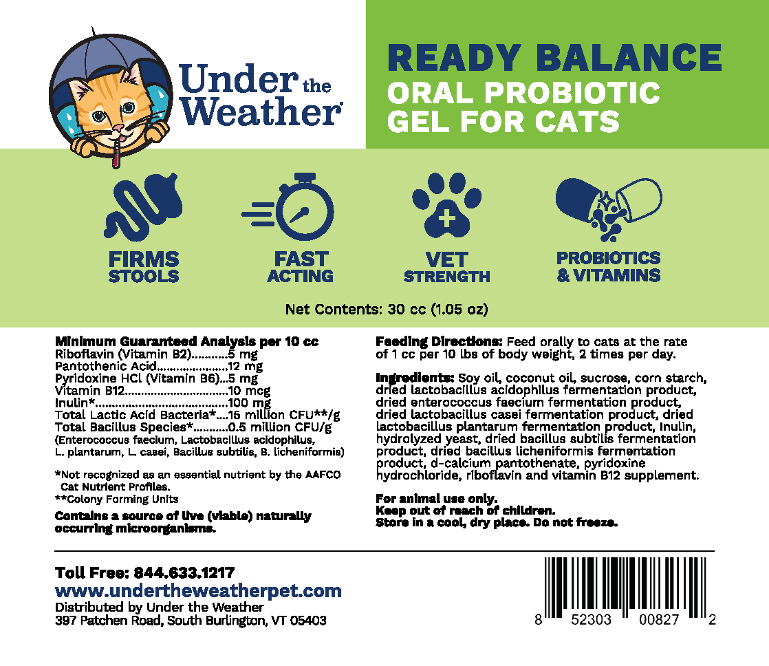 Ready Balance Probiotic Supplement For Cats