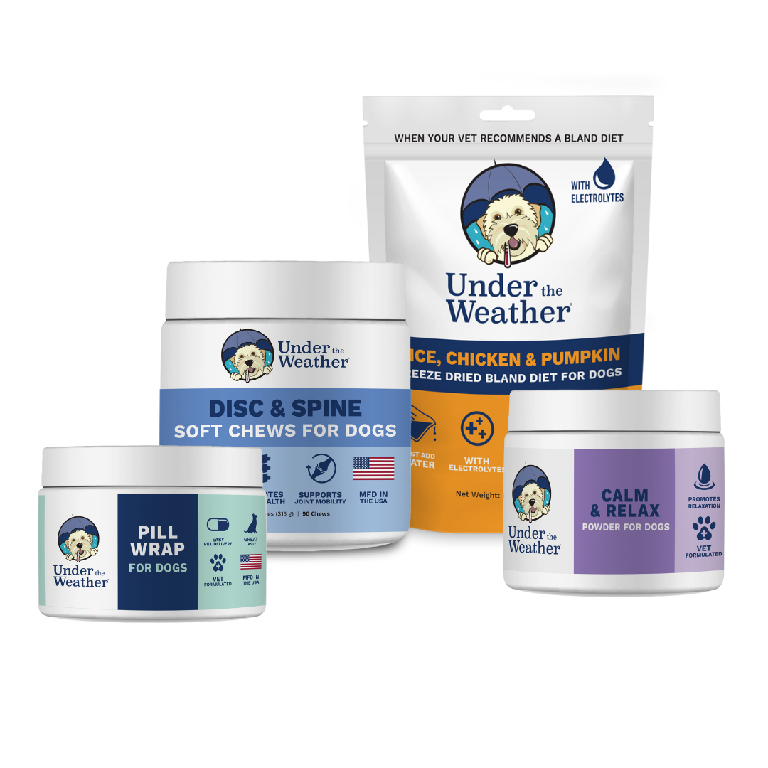 Supplements for canine ivdd outlet