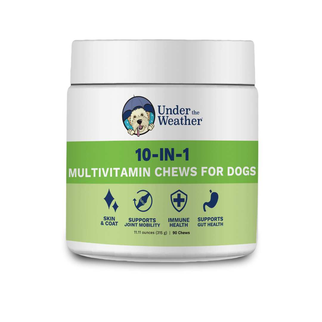 10-in-1 Multivitamin Chews for Dogs