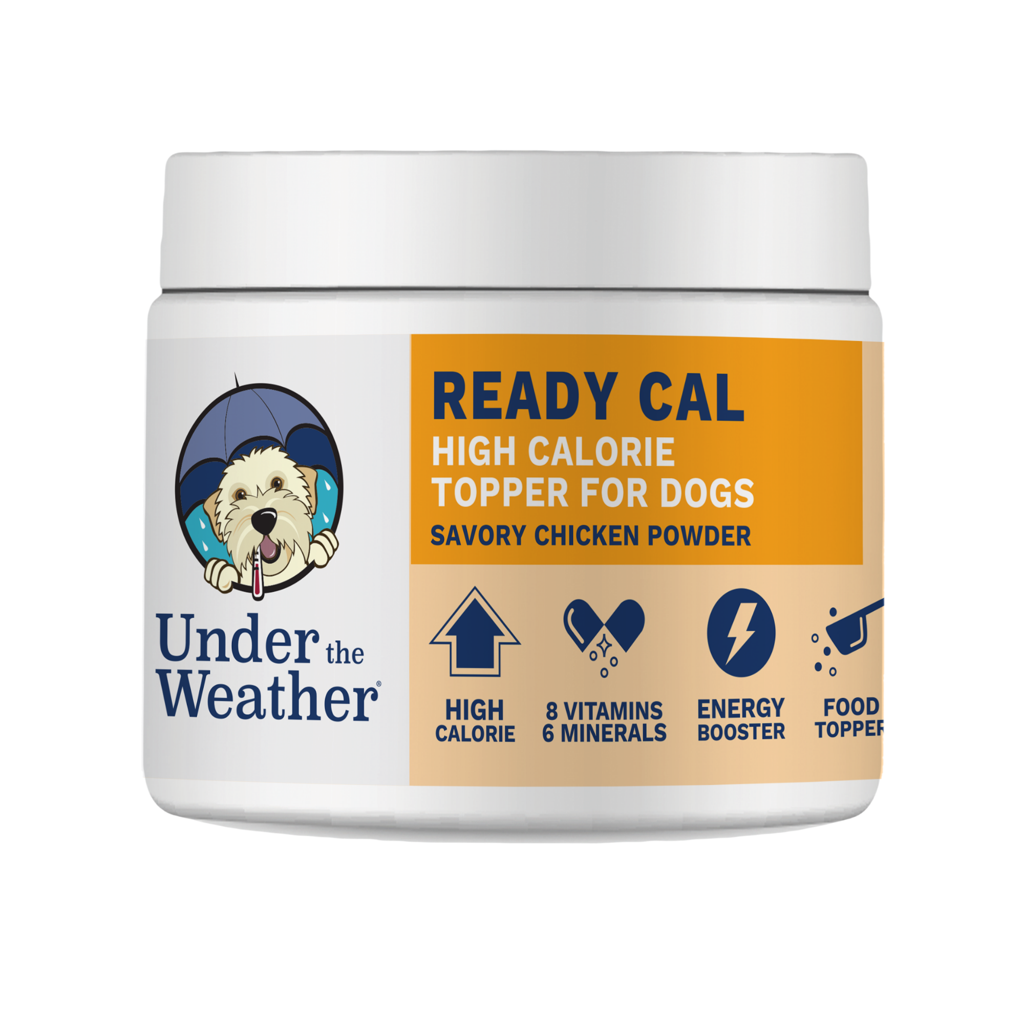 High calorie 2024 booster for dogs