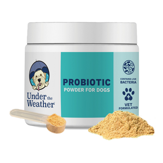 Probiotic Powder for Dogs