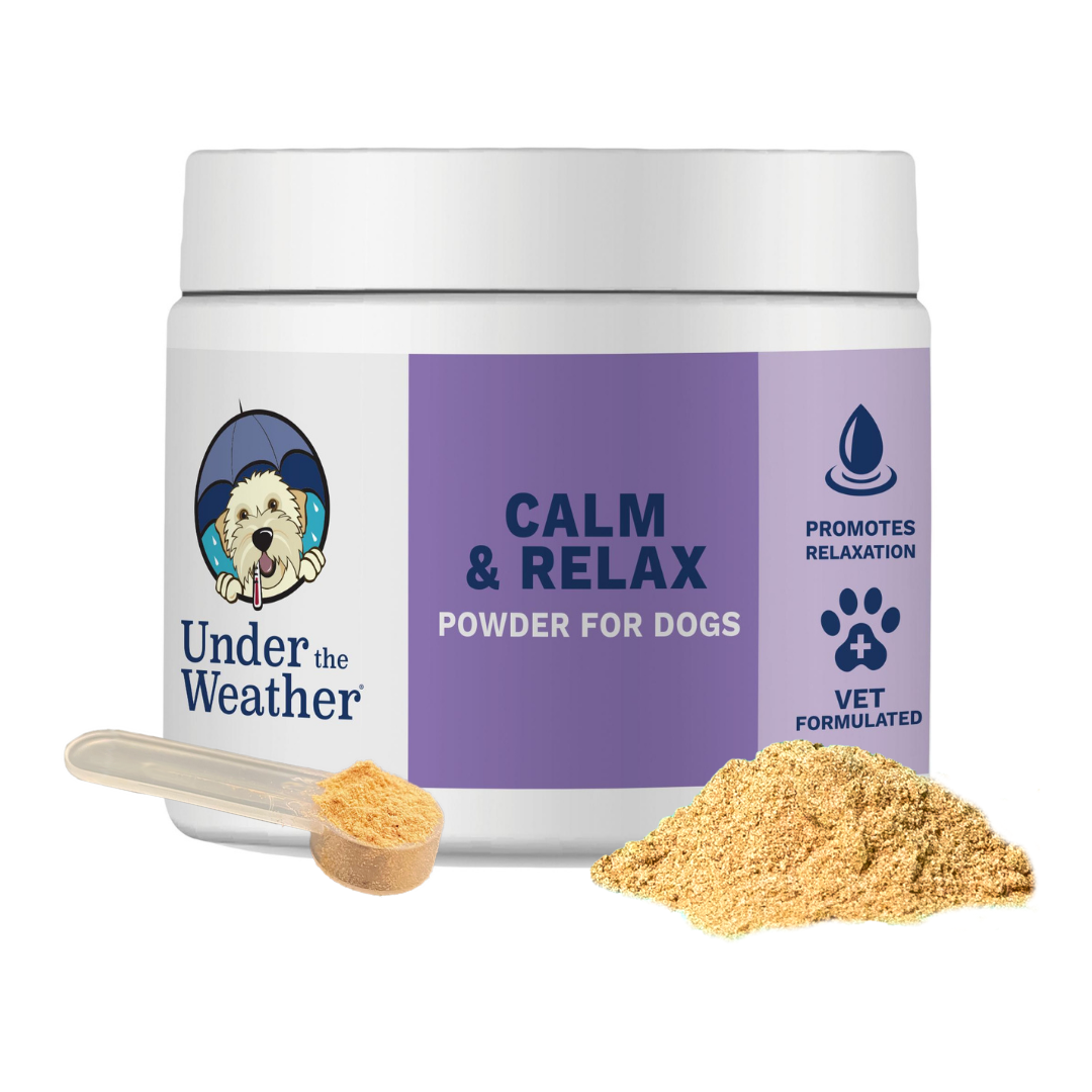 Dog calming deals powder
