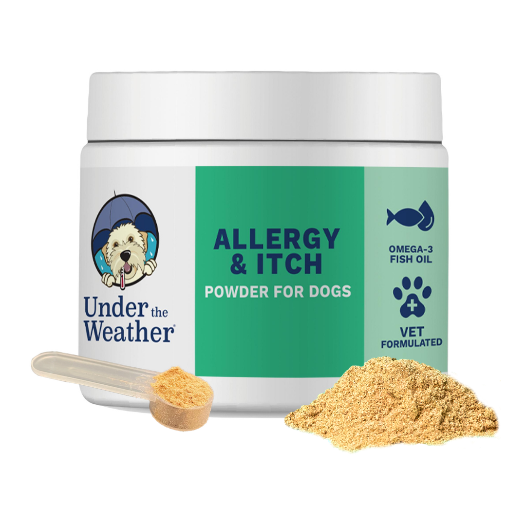 Dog allergy medication deals
