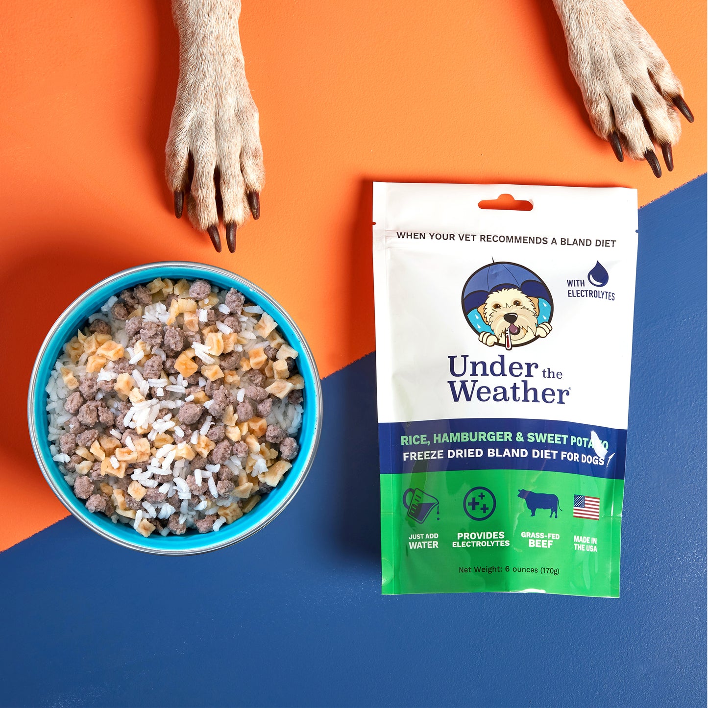 Hamburger, Rice, & Sweet Potato Bland Diet For Dogs