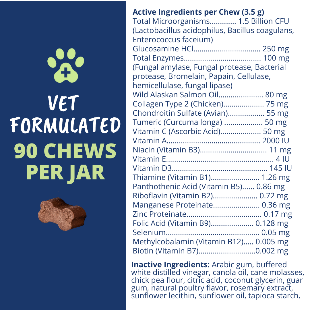 10-in-1 Multivitamin Chews for Dogs